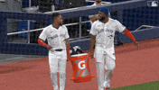 Blue Jays Help GIF by Toronto Blue Jays