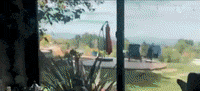 Jon Hall Drinking GIF by JON ROBERT HALL