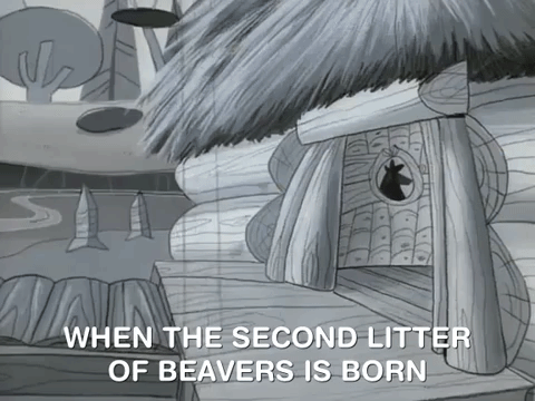 nickrewind giphydvr nicksplat angry beaver giphyab001 GIF