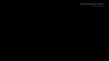 Animated Flowers Line Art Transition