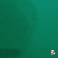 Water Swimming GIF by Shark Week