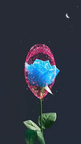 Motion Background GIF by Trakto