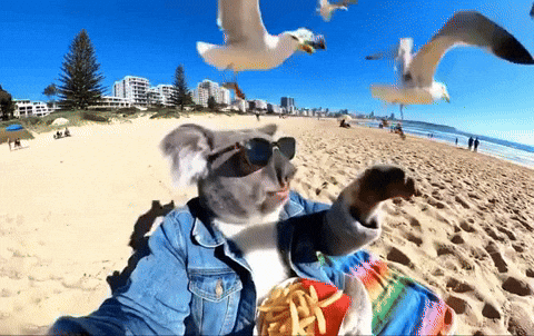 Bondi Beach Comedy GIF
