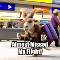 Airportlife GIF by Radiantelope