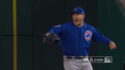 anthony rizzo GIF by MLB