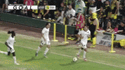 Usl Championship Soccer GIF by Charleston Battery