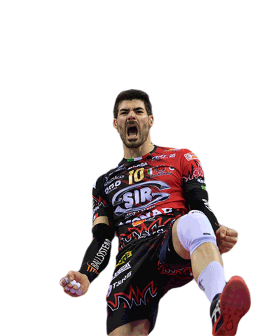 sport team Sticker by SIR Safety Perugia Volley Club