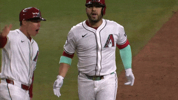 Arizona Diamondbacks Sport GIF by MLB