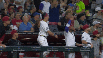 Celebrate Arizona Diamondbacks GIF by MLB
