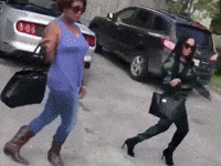 Fly Doing The Most GIF