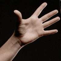 RowdyEnergy score catch pass rowdy GIF