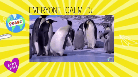 memesgiggle giphyattribution meme penguin peace GIF