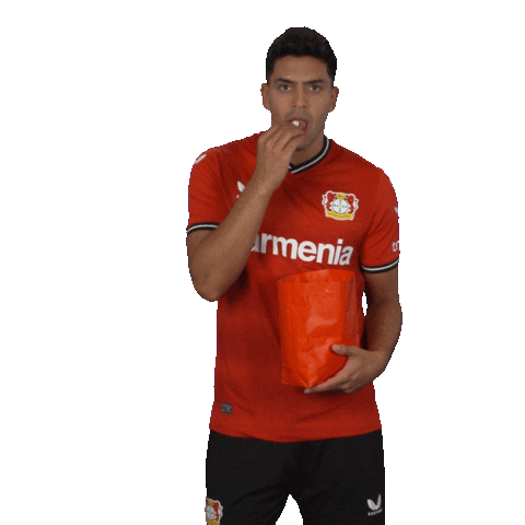 Excited Football Sticker by Bayer 04 Leverkusen