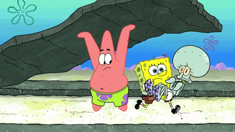 season 9 episode 3 GIF by SpongeBob SquarePants