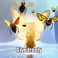 Butterfly Spirit GIF by BuddhaFlyJourney