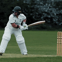 You Are Out GIF by Luke Westen