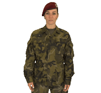 armadaceskerepubliky why really army itoldyou Sticker