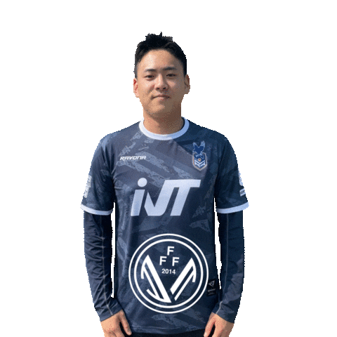 Football Sport Sticker