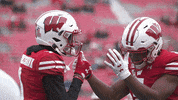 Happy Football GIF by Wisconsin Badgers