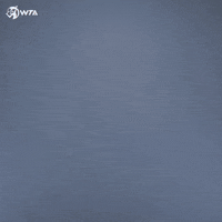 Peace Tennis GIF by WTA