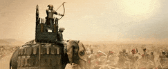 Bollywood GIF by Ashutosh Gowariker Productions