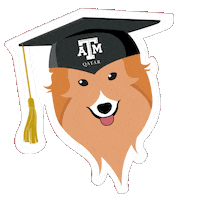 Mascot Reveille Sticker by Texas A&M at Qatar
