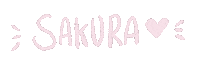 tokyographic pink cherry sakura cherry blossom Sticker