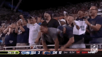 2018 nfl football GIF by NFL