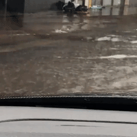 Car Drives Through Flooded Street in Northern Sydney After Destructive Storm