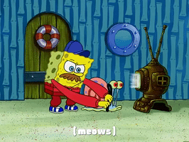 season 3 the great snail race GIF by SpongeBob SquarePants
