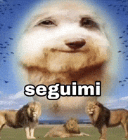 Simone Cane GIF