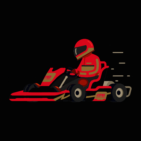 circuitparkberghem racing kart karting karten GIF