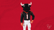 Cut It Out Nfl GIF by Houston Texans