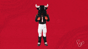 Not Me Nfl GIF by Houston Texans