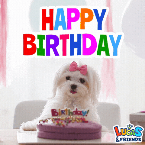Happy Birthday Dog GIF by Lucas and Friends by RV AppStudios