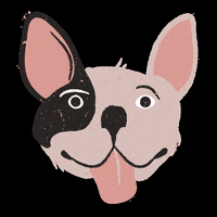 Dogs Puppy GIF by Miss Beaut