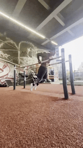 Gym Training GIF by Casol