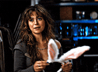 Cute Bunny GIF