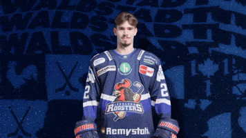 Celebration Hockey GIF by Iserlohn Roosters