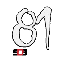 Sdb2022 Sticker by Super Drift Brasil