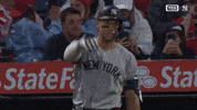 Aaron Judge Sport GIF by MLB