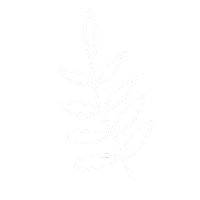 thislightofmine_ white leaf leaves thislightofmine Sticker