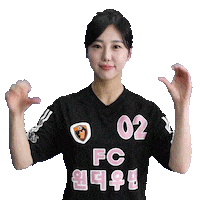 Football Sport Sticker