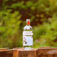 absolut juice GIF by Absolut Vodka