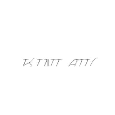 New Artist Vinyl Record Sticker by Bayonet Records