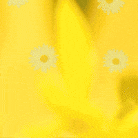 Blooming Daisy Flower GIF by TeaCosyFolk