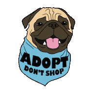Pra Sticker by Pug Rescue of Austin