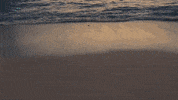 Nft GIF by JawsBTC
