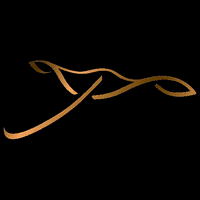 Nautitech catamarans nautitech GIF