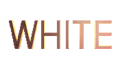 Trade Show Sticker by Whiteshowofficial